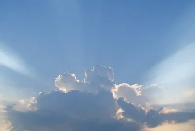 Sun Rays