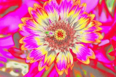 Colorful