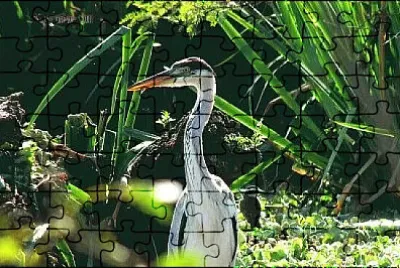  jigsaw puzzle