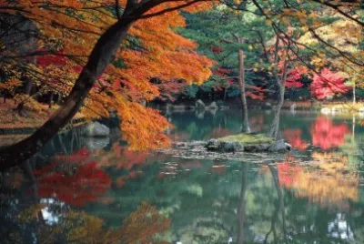 LAGO