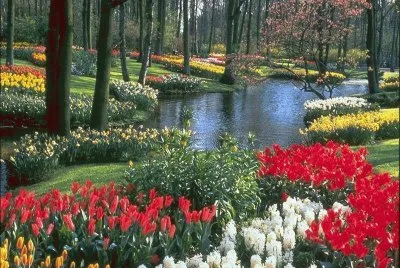Jardim colorido jigsaw puzzle