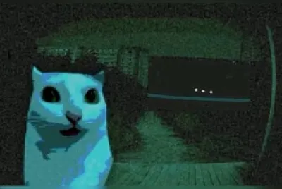 פאזל של Not cat