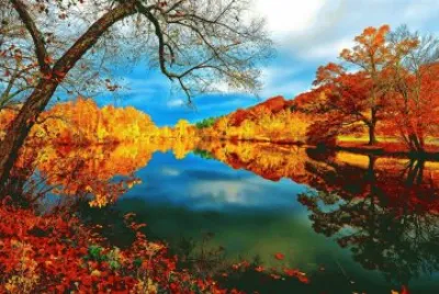 Amarelo jigsaw puzzle