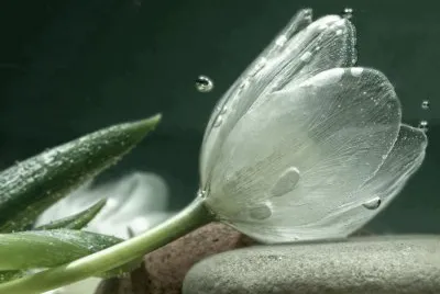 3D