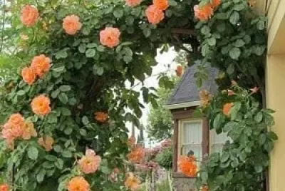 flores