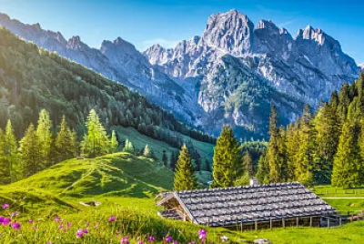 Granja cordillerana jigsaw puzzle