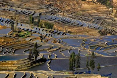Yunnan