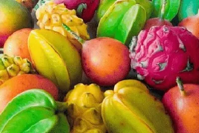 פאזל של 
