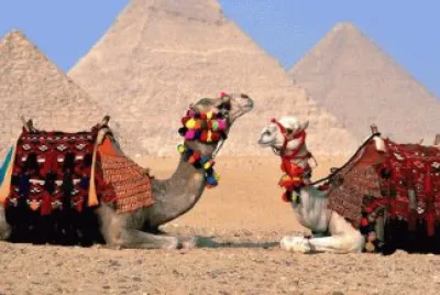 CAMELLO EGIPTO jigsaw puzzle