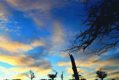 paisaje sureÃ±o