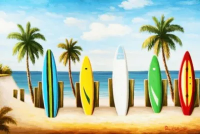 SURF jigsaw puzzle