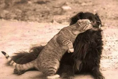 don 't be shy...give us a kiss