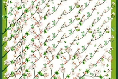 fleurs printanières