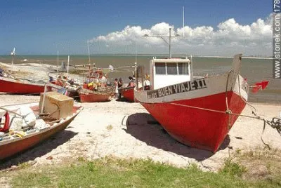 BOTES