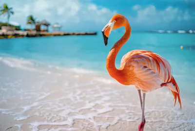 flamingo jigsaw puzzle