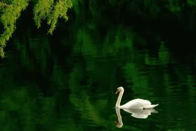 Lago Verde