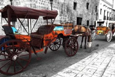 calle las damas