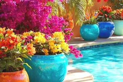 flores