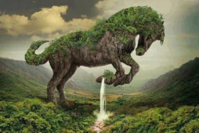 13 jigsaw puzzle