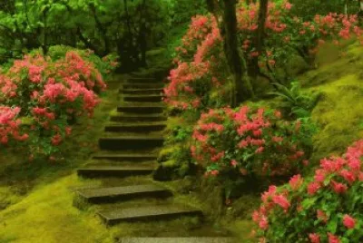 26 jigsaw puzzle