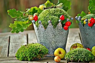  jigsaw puzzle