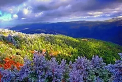  jigsaw puzzle