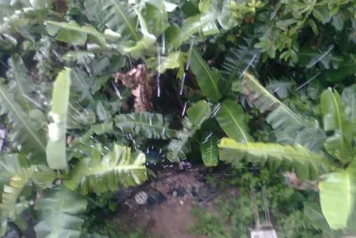 Lluvia desde el balcon