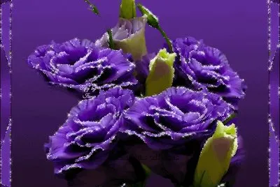 Purple Art