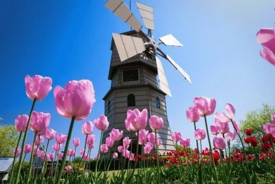 HOLANDA jigsaw puzzle