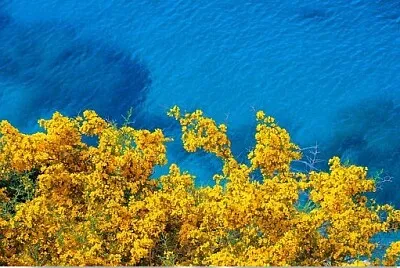  jigsaw puzzle