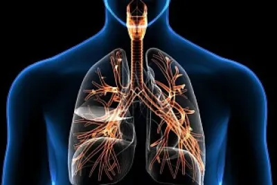 sistema respiratorio II