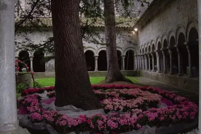 Temps de flors