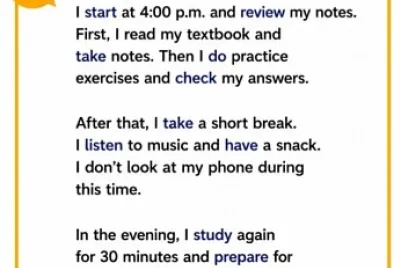 My Study Routine
