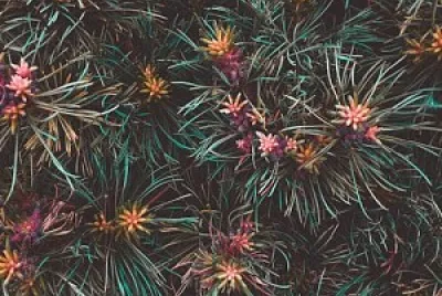 colorful