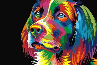 Colour Dog