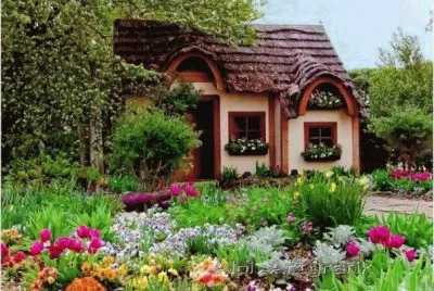 BÃ¡sico