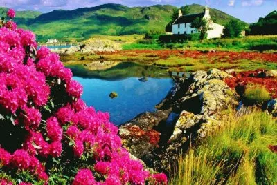 Lago