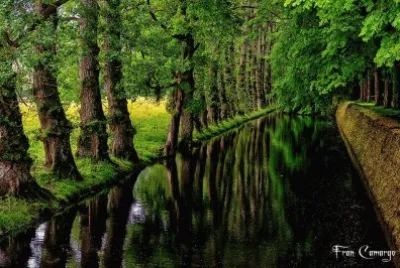 Verdes jigsaw puzzle
