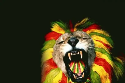 lion