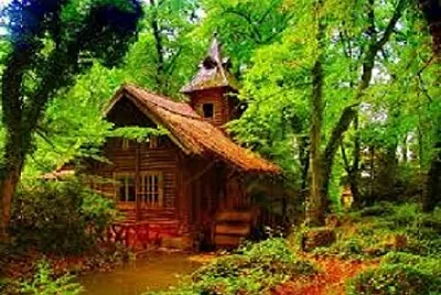  jigsaw puzzle