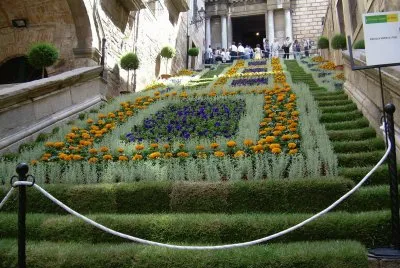 Temps de Flors  2007