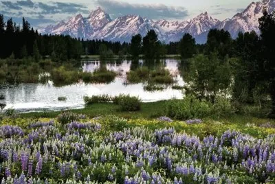 Grand Tetons - Wyoming