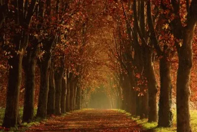 paisaje jigsaw puzzle