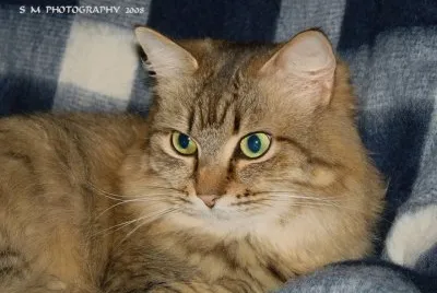 Precious