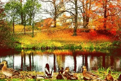 pp jigsaw puzzle