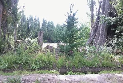 Rio Los Antiguos