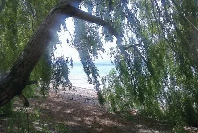 Orilla del Lago Buenos Aires