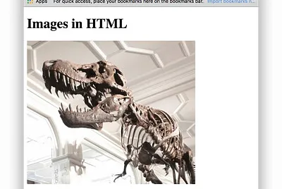 Imágenes en html