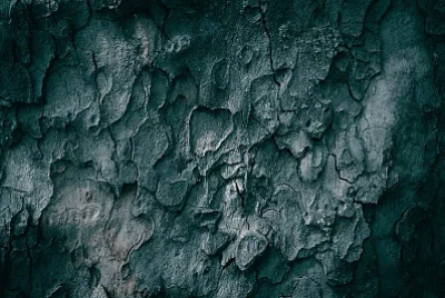  jigsaw puzzle