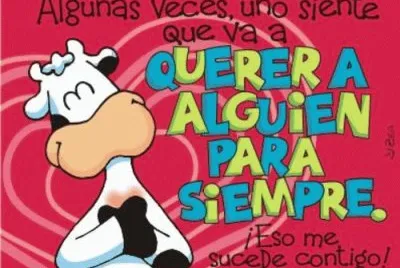 Te Amo!/Je T 'Aime!/I Love You!